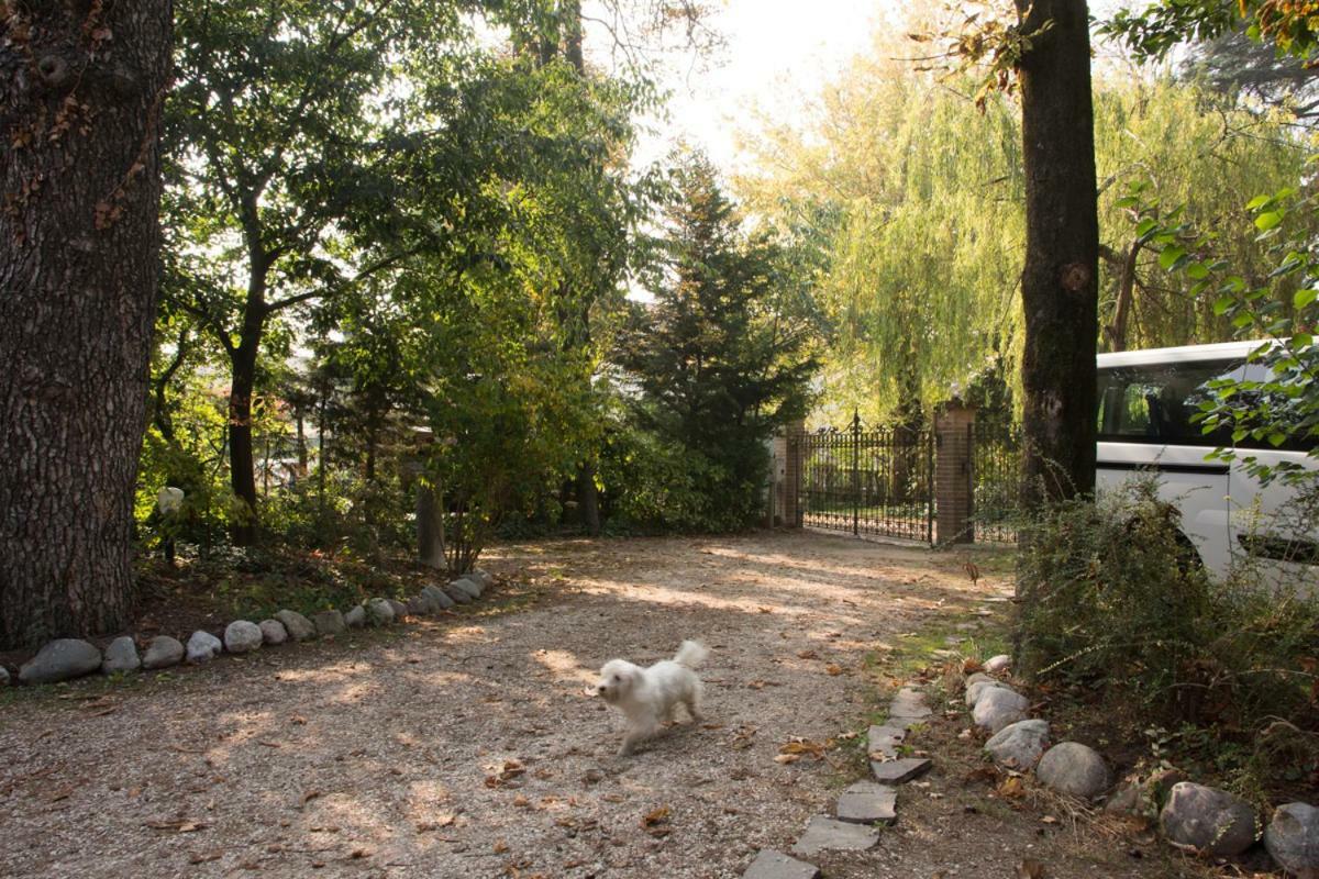 Al Parco Panzió Curtatone Kültér fotó